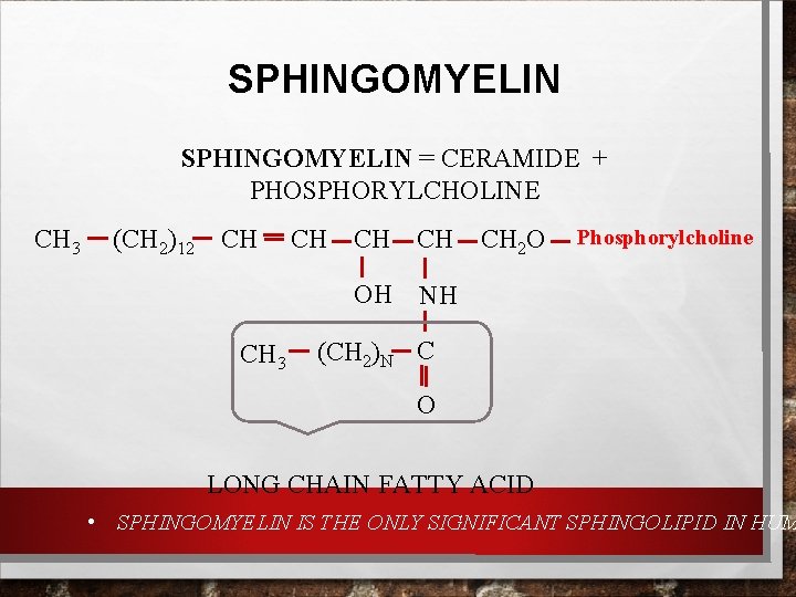SPHINGOMYELIN = CERAMIDE + PHOSPHORYLCHOLINE CH 3 (CH 2)12 CH CH 3 CH CH SPHINGOMYELIN = CERAMIDE + PHOSPHORYLCHOLINE CH 3 (CH 2)12 CH CH 3 CH CH