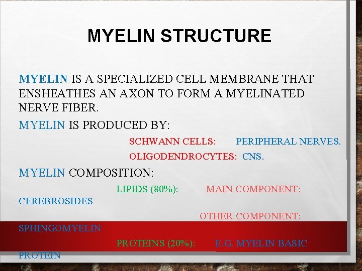 MYELIN STRUCTURE MYELIN IS A SPECIALIZED CELL MEMBRANE THAT ENSHEATHES AN AXON TO FORM MYELIN STRUCTURE MYELIN IS A SPECIALIZED CELL MEMBRANE THAT ENSHEATHES AN AXON TO FORM