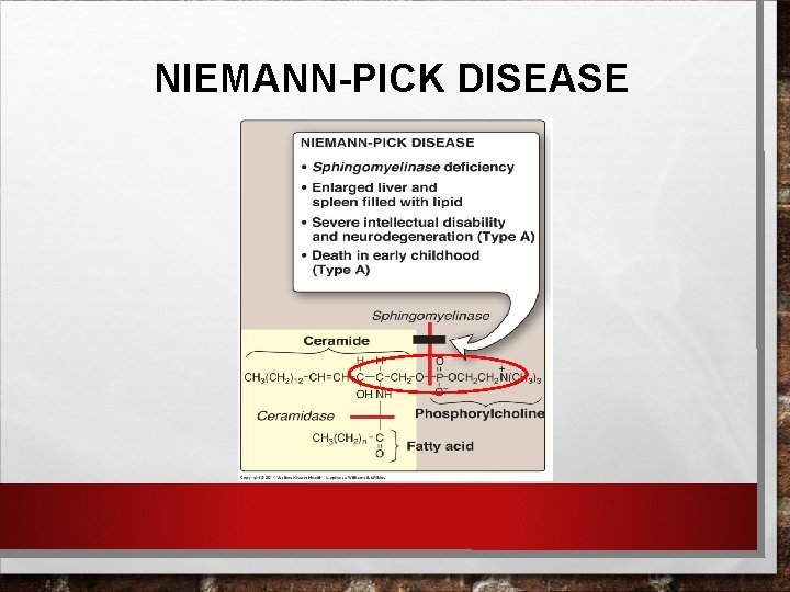 NIEMANN-PICK DISEASE 