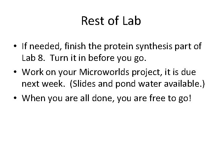 Rest of Lab • If needed, finish the protein synthesis part of Lab 8.
