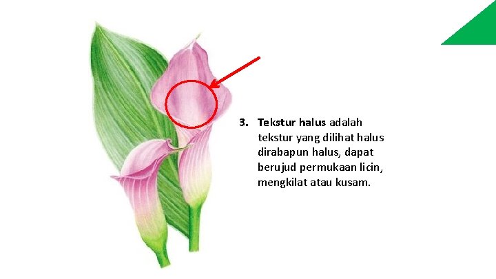 3. Tekstur halus adalah tekstur yang dilihat halus dirabapun halus, dapat berujud permukaan licin,