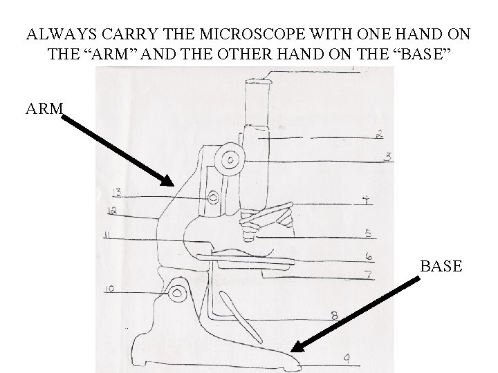 ALWAYS CARRY THE MICROSCOPE WITH ONE HAND ON THE “ARM” AND THE OTHER HAND