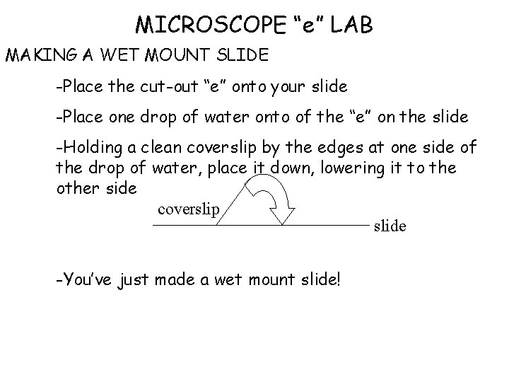 MICROSCOPE “e” LAB MAKING A WET MOUNT SLIDE -Place the cut-out “e” onto your