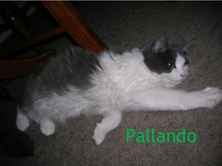 Pallando 