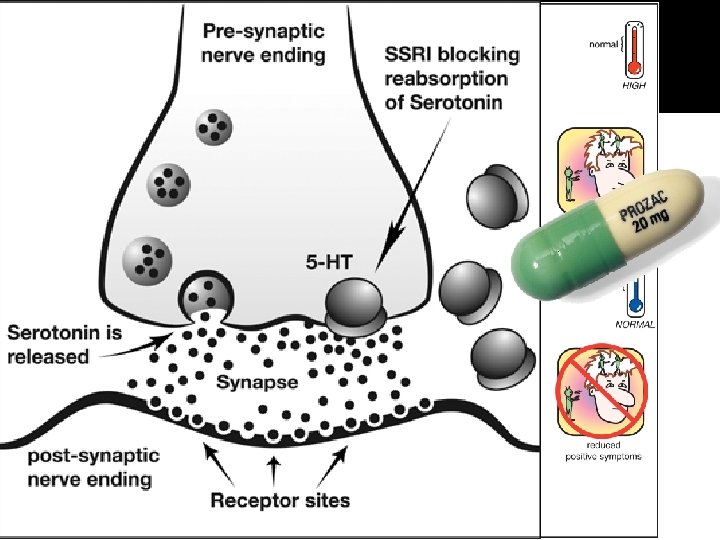 Biological therapies (drugs) 