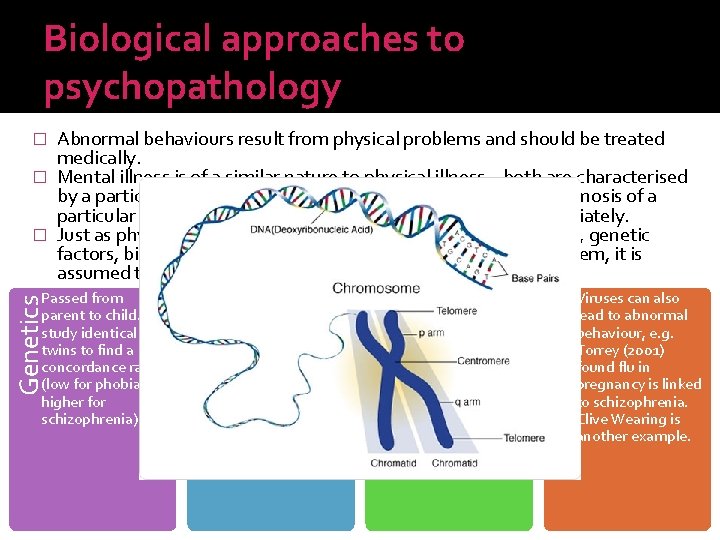 Biological approaches to psychopathology Abnormal behaviours result from physical problems and should be treated