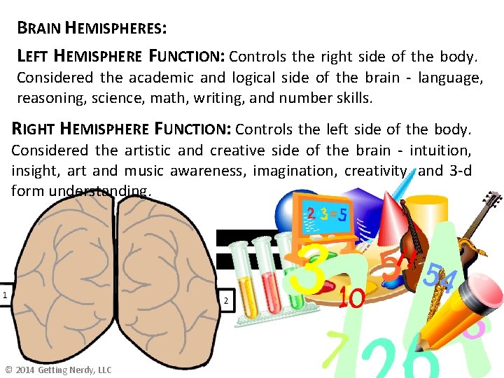 BRAIN HEMISPHERES: LEFT HEMISPHERE FUNCTION: Controls the right side of the body. Considered the BRAIN HEMISPHERES: LEFT HEMISPHERE FUNCTION: Controls the right side of the body. Considered the