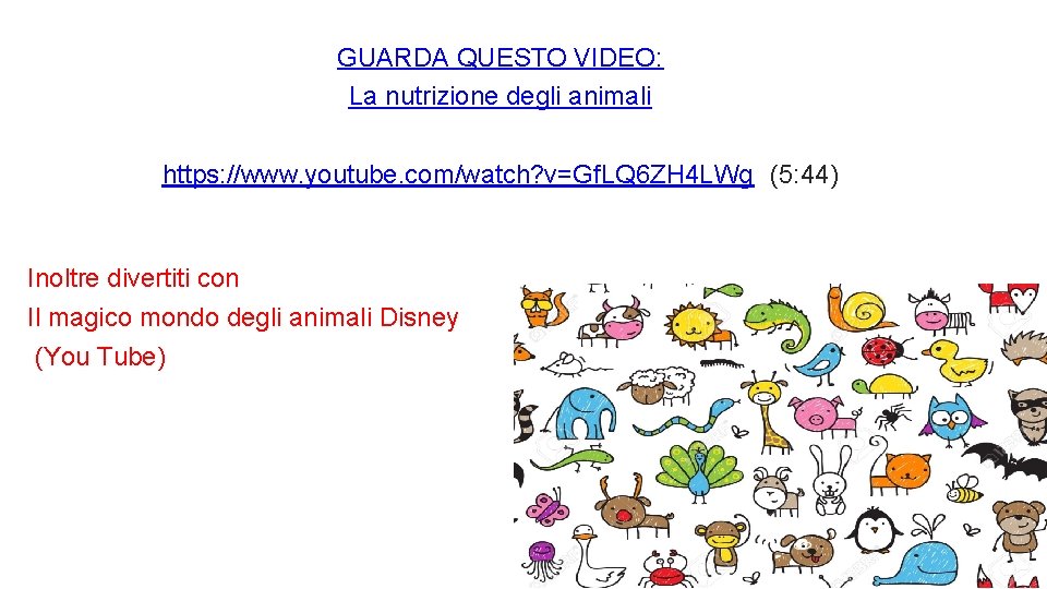 GUARDA QUESTO VIDEO: La nutrizione degli animali https: //www. youtube. com/watch? v=Gf. LQ 6