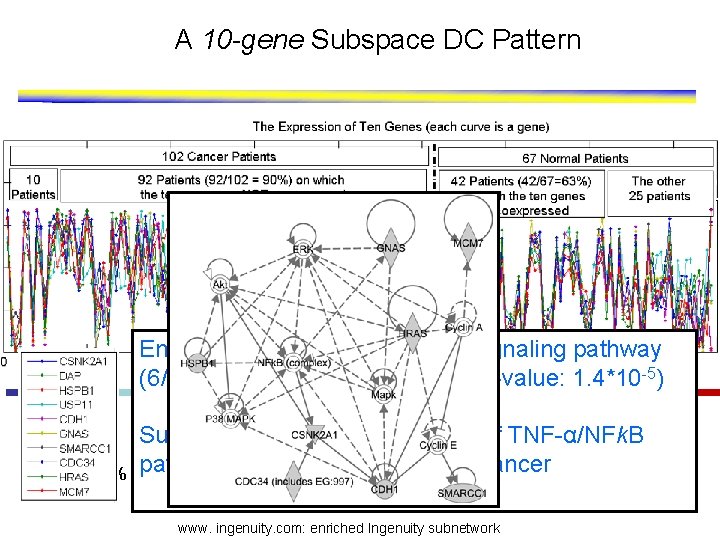 A 10 -gene Subspace DC Pattern Enriched with the TNF-α/NFk. B signaling pathway (6/10
