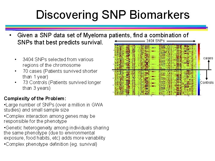 Discovering SNP Biomarkers • Given a SNP data set of Myeloma patients, find a