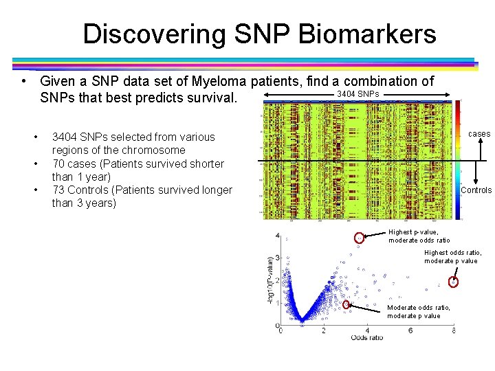 Discovering SNP Biomarkers • Given a SNP data set of Myeloma patients, find a