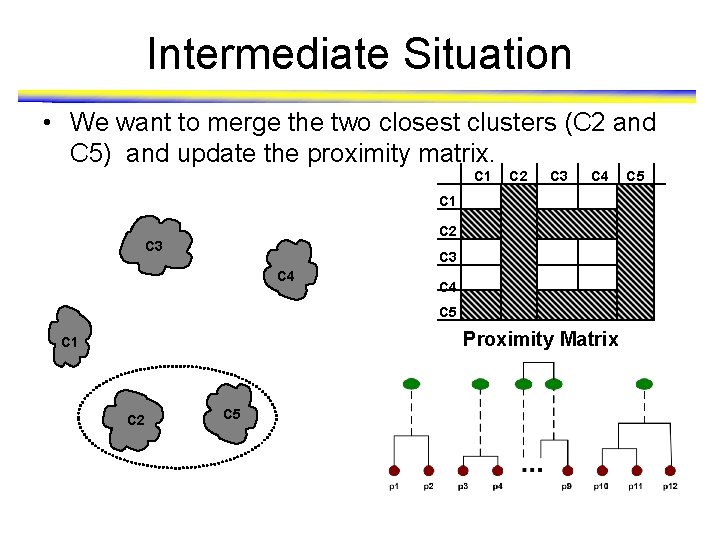 Intermediate Situation • We want to merge the two closest clusters (C 2 and