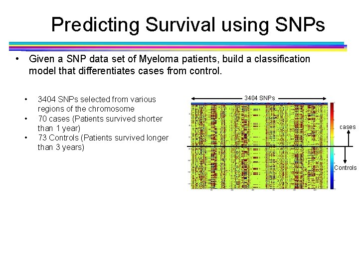 Predicting Survival using SNPs • Given a SNP data set of Myeloma patients, build