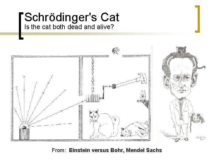 Schrödinger's Cat Is the cat both dead and alive? From: Einstein versus Bohr, Mendel