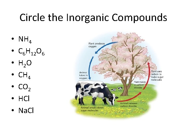 Circle the Inorganic Compounds • • NH 4 C 6 H 12 O 6
