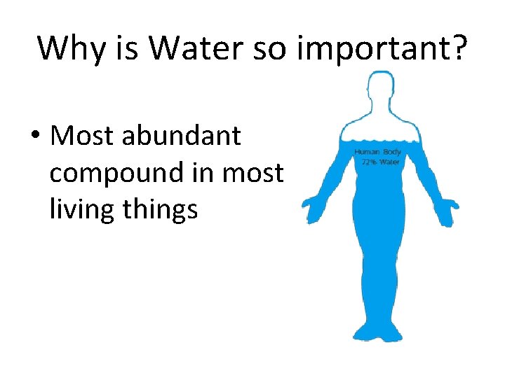 Why is Water so important? • Most abundant compound in most living things 