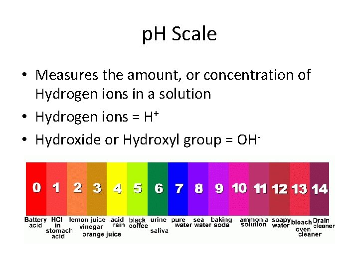 p. H Scale • Measures the amount, or concentration of Hydrogen ions in a