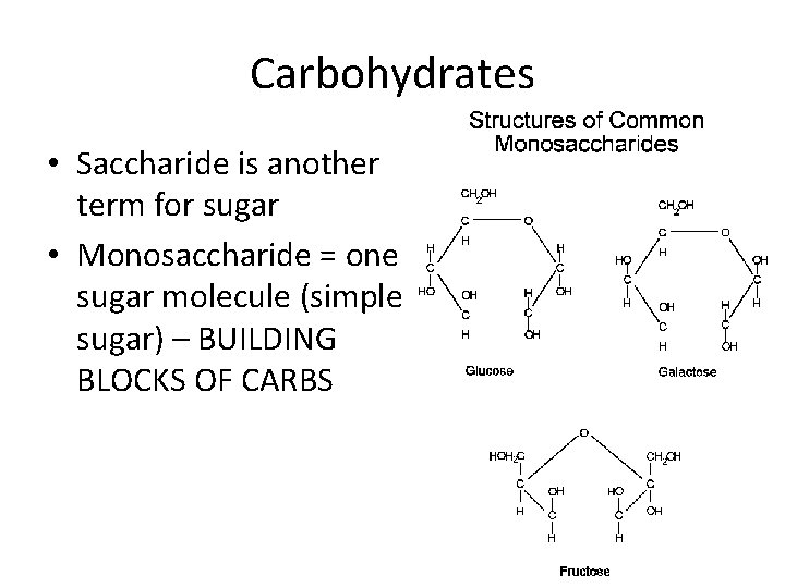 Carbohydrates • Saccharide is another term for sugar • Monosaccharide = one sugar molecule