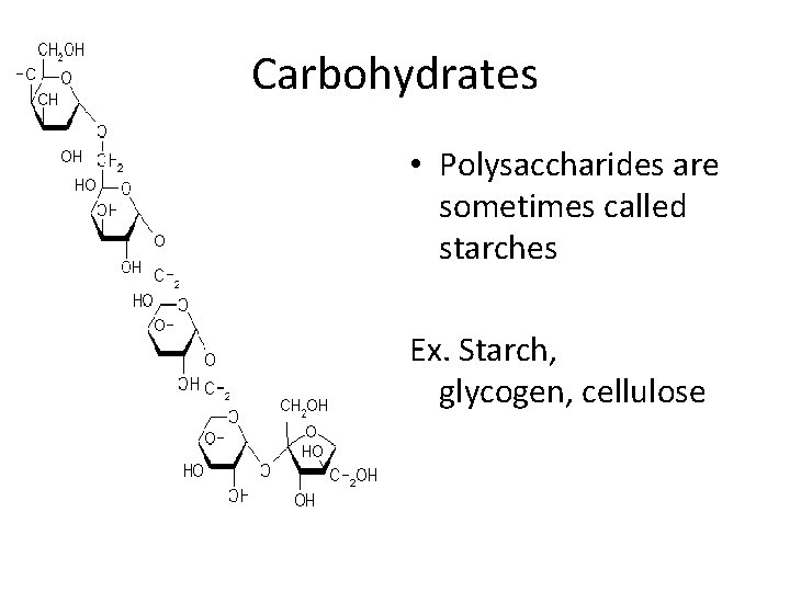 Carbohydrates • Polysaccharides are sometimes called starches Ex. Starch, glycogen, cellulose 