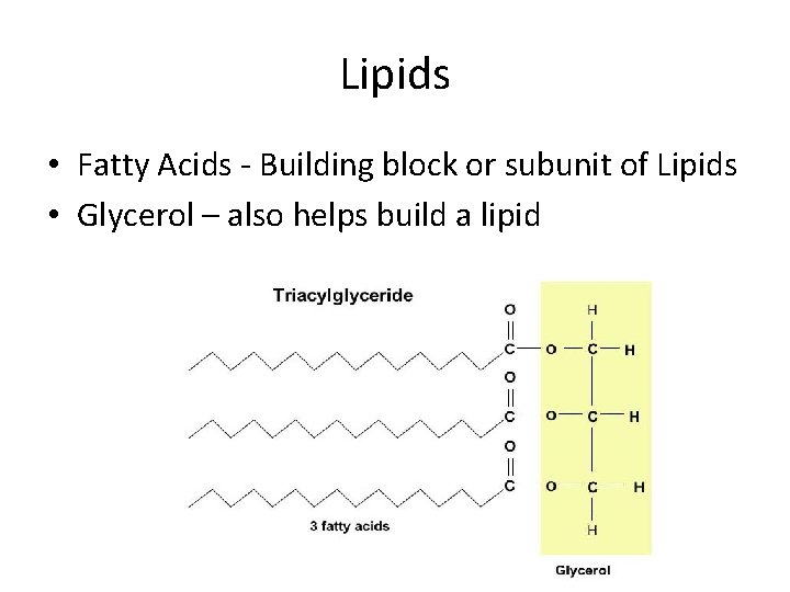 Lipids • Fatty Acids - Building block or subunit of Lipids • Glycerol –