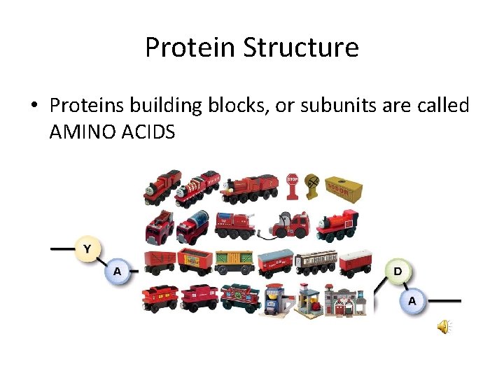 Protein Structure • Proteins building blocks, or subunits are called AMINO ACIDS 
