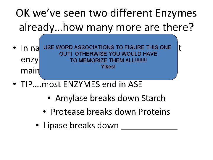 OK we’ve seen two different Enzymes already…how many more are there? USE WORD TO