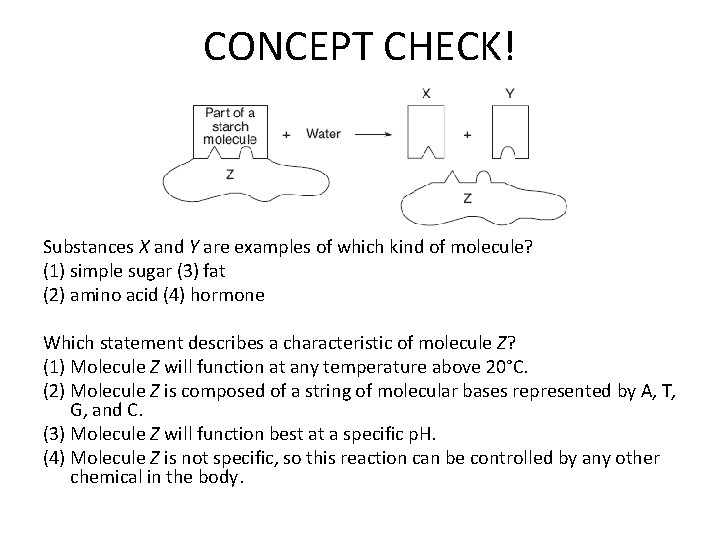 CONCEPT CHECK! Substances X and Y are examples of which kind of molecule? (1)