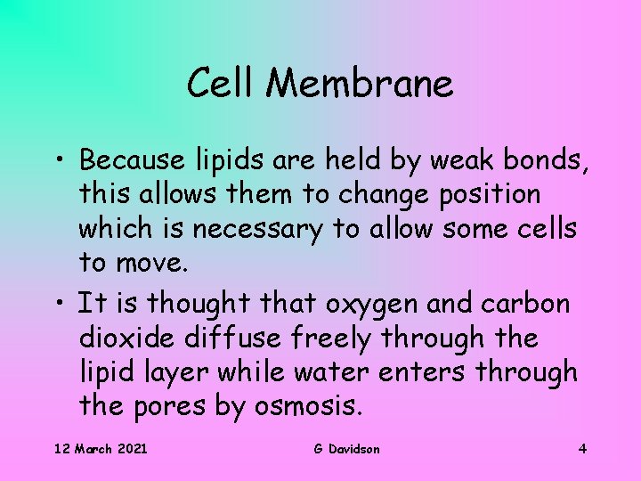 Cell Membrane • Because lipids are held by weak bonds, this allows them to