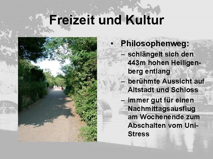 Freizeit und Kultur • Philosophenweg: – schlängelt sich den 443 m hohen Heiligenberg entlang