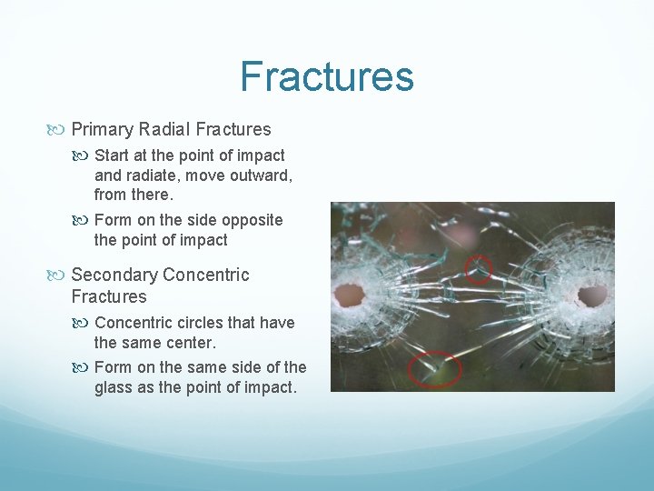 Fractures Primary Radial Fractures Start at the point of impact and radiate, move outward,