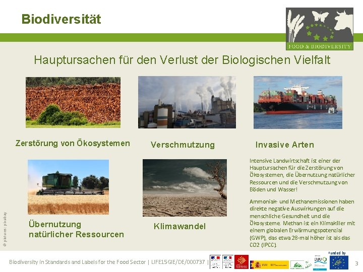 Biodiversität Hauptursachen für den Verlust der Biologischen Vielfalt Zerstörung von Ökosystemen Verschmutzung Invasive Arten