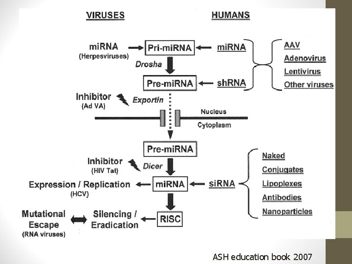 ASH education book 2007 