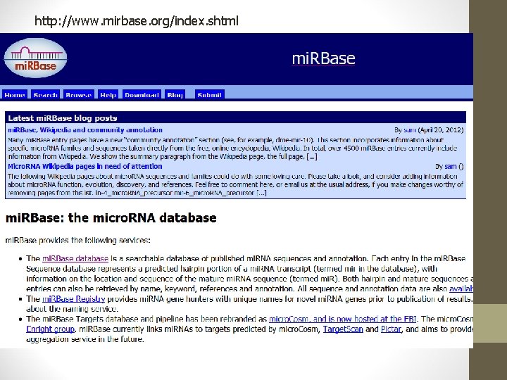 http: //www. mirbase. org/index. shtml 