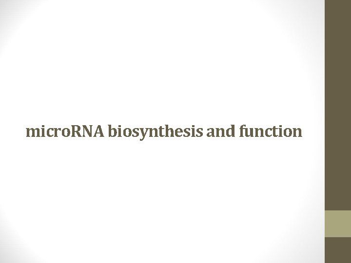 micro. RNA biosynthesis and function 