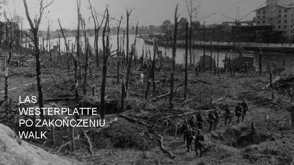 LAS WESTERPLATTE PO ZAKOŃCZENIU WALK 