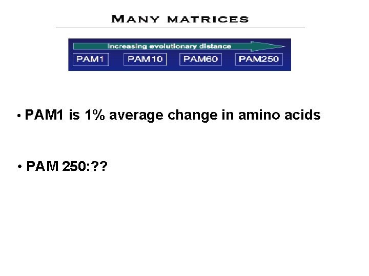  • PAM 1 is 1% average change in amino acids • PAM 250: