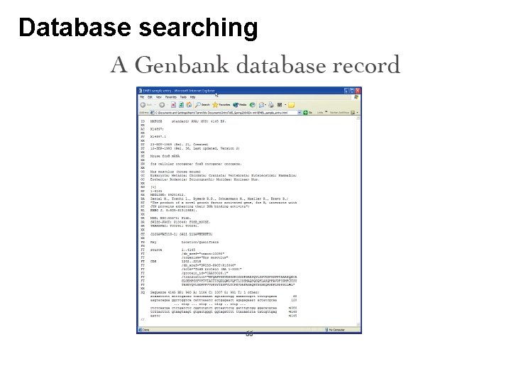 Database searching Database searching