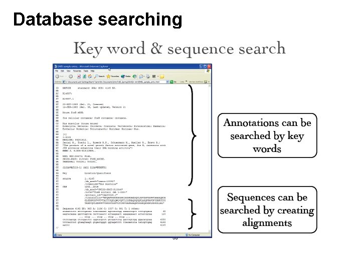 Database searching 