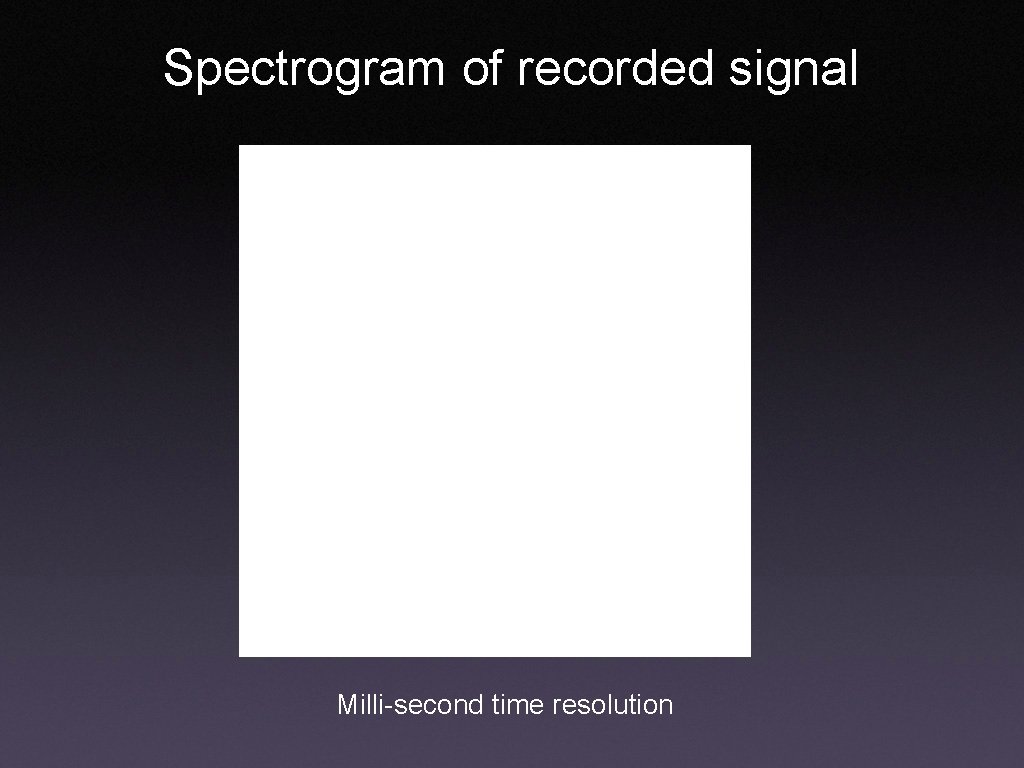 Spectrogram of recorded signal Milli-second time resolution 