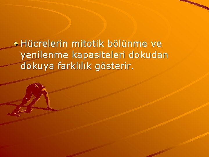 Hücrelerin mitotik bölünme ve yenilenme kapasiteleri dokudan dokuya farklılık gösterir. 