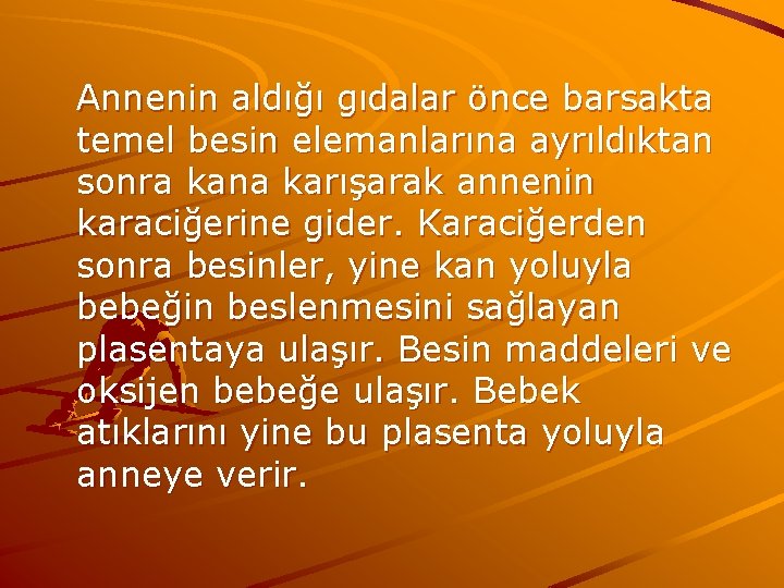 Annenin aldığı gıdalar önce barsakta temel besin elemanlarına ayrıldıktan sonra kana karışarak annenin karaciğerine