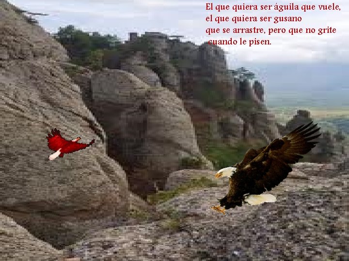 El que quiera ser águila que vuele, el que quiera ser gusano que se