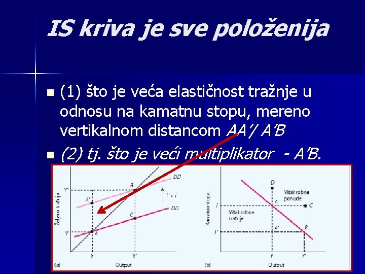 IS kriva je sve položenija n n (1) što je veća elastičnost tražnje u