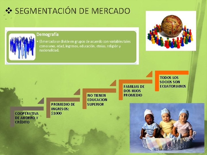 v SEGMENTACIÓN DE MERCADO COOPERATIVA DE AHORRO Y CRÉDITO PROMEDIO DE INGRESOS: $1000 NO