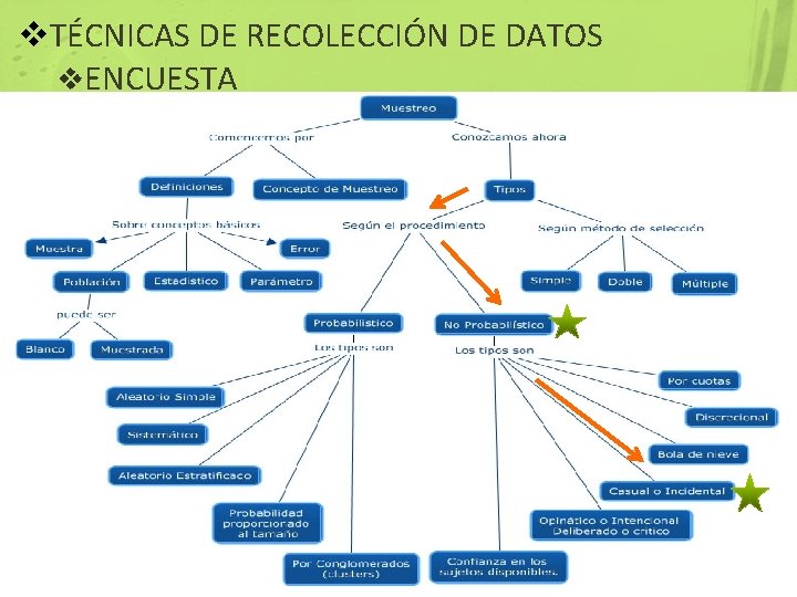 v. TÉCNICAS DE RECOLECCIÓN DE DATOS v. ENCUESTA 