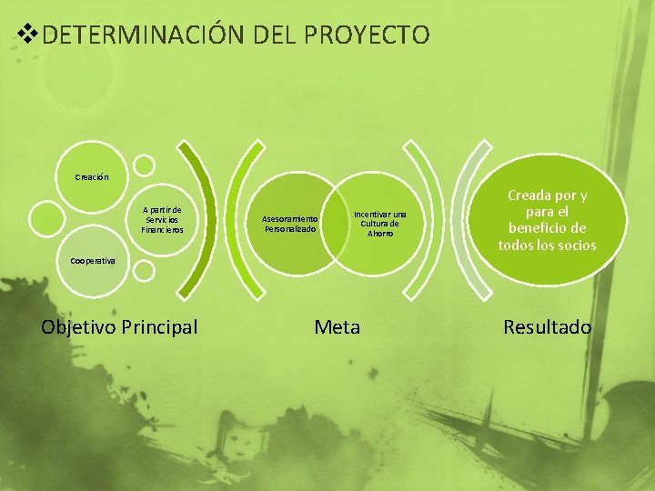 v. DETERMINACIÓN DEL PROYECTO Creación A partir de Servicios Financieros Asesoramiento Personalizado Incentivar una