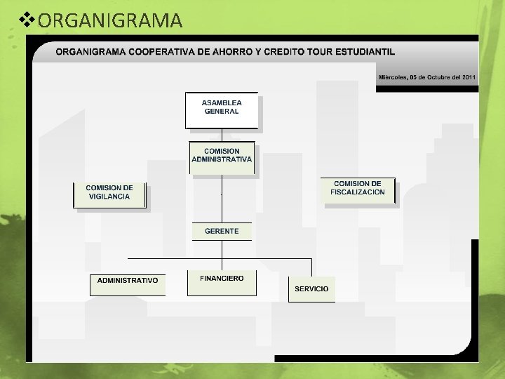 v. ORGANIGRAMA 