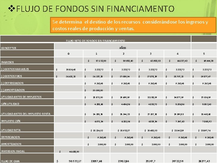 v. FLUJO DE FONDOS SIN FINANCIAMENTO Se determina el destino de los recursos considerándose