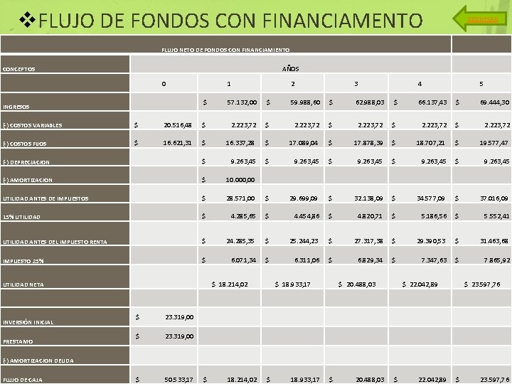 v. FLUJO DE FONDOS CON FINANCIAMENTO FLUJO NETO DE FONDOS CON FINANCIAMIENTO AÑOS CONCEPTOS