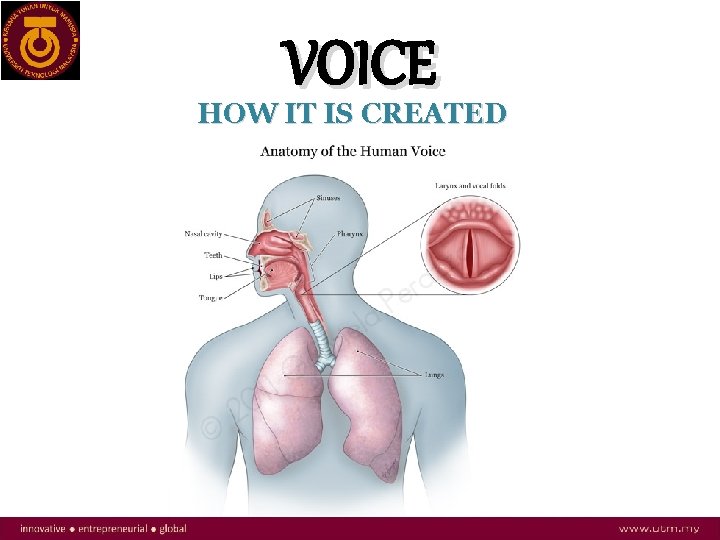 VOICE HOW IT IS CREATED 